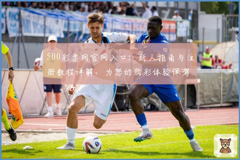 500彩票网官网入口:新人指南与注册教程详解,为您的购彩体验保驾护航