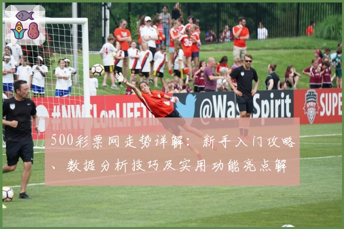 500彩票网走势详解：新手入门攻略、数据分析技巧及实用功能亮点解析