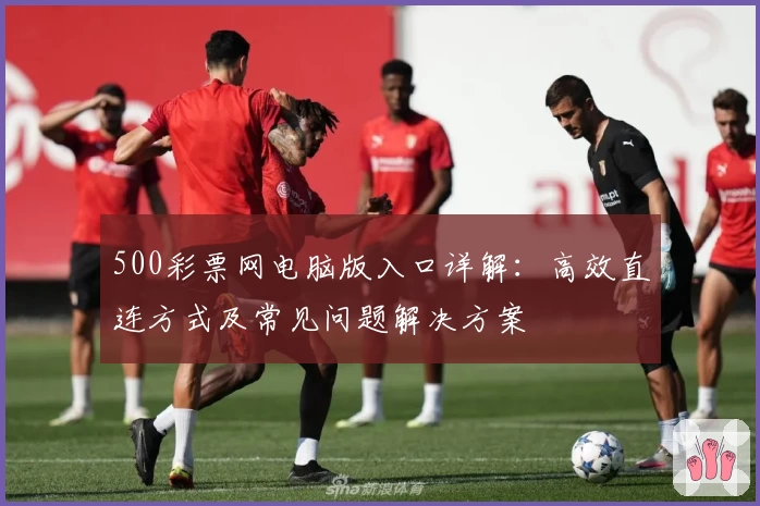 500彩票网电脑版入口详解：高效直连方式及常见问题解决方案