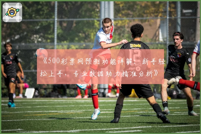 《500彩票网预测功能详解：新手轻松上手，专业数据助力精准分析》